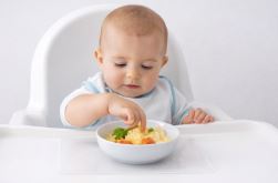 Alternatives to Suction Plate Mats (That Actually Stay Put)