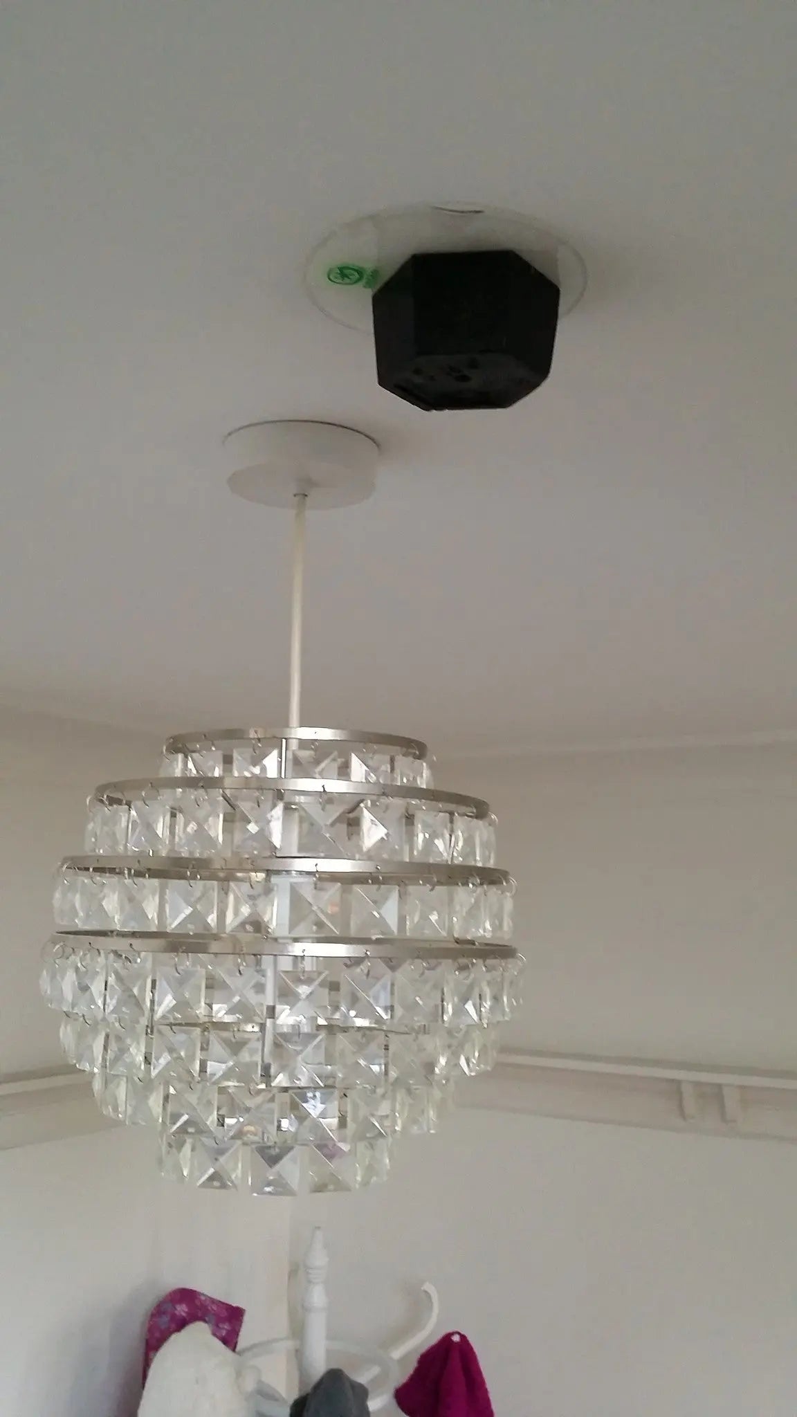 NanoGrip™ - Pet Bowl Grippers - Sticky Mat - Stop Spillage, Help eating, Superb Grip - Ideal for Cats and Dogs Proper Design